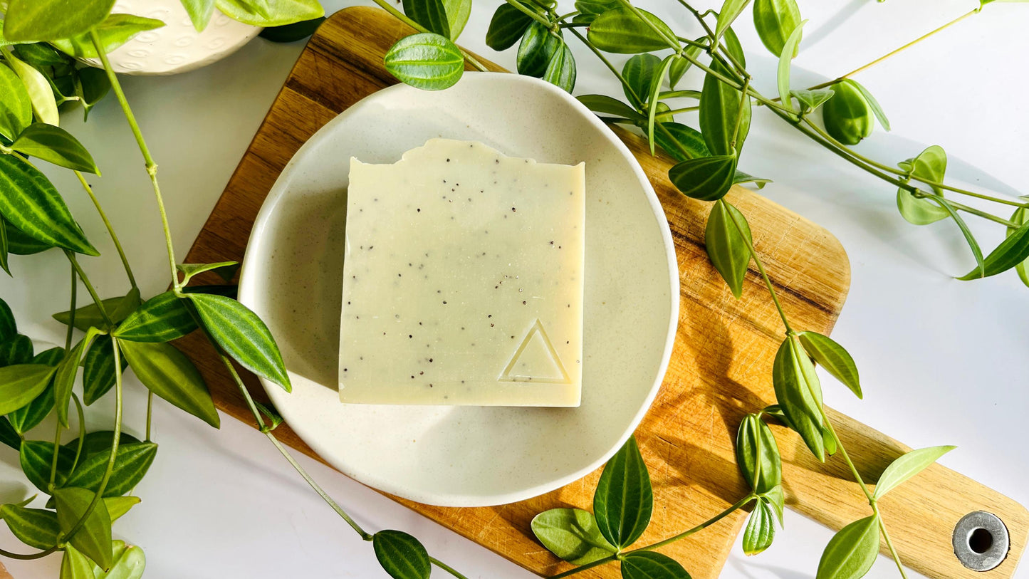 Bar of light green soap with poppy seeds sprinkled throughout on a white soap dish with green leaves around.