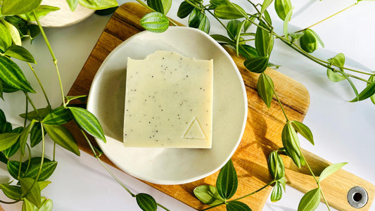 Bar of light green soap with poppy seeds sprinkled throughout on a white soap dish with green leaves around.