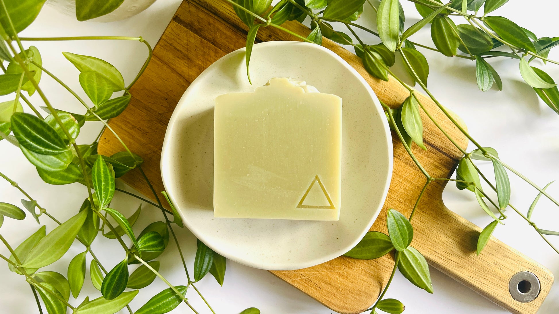 Bar of sage green soap on a white soap dish with green leaves around on a light background.